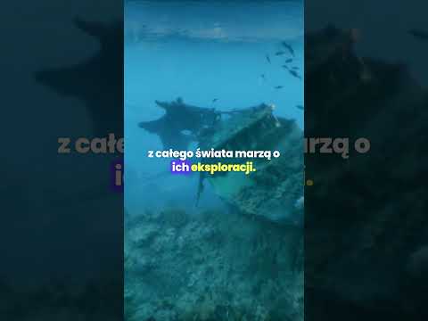 Trzy niezwykłe zjawiska w oceanach 🌊🪸 #shorts #ciekawostki