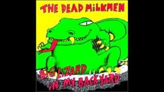 The Dead Milkmen - Beach Song