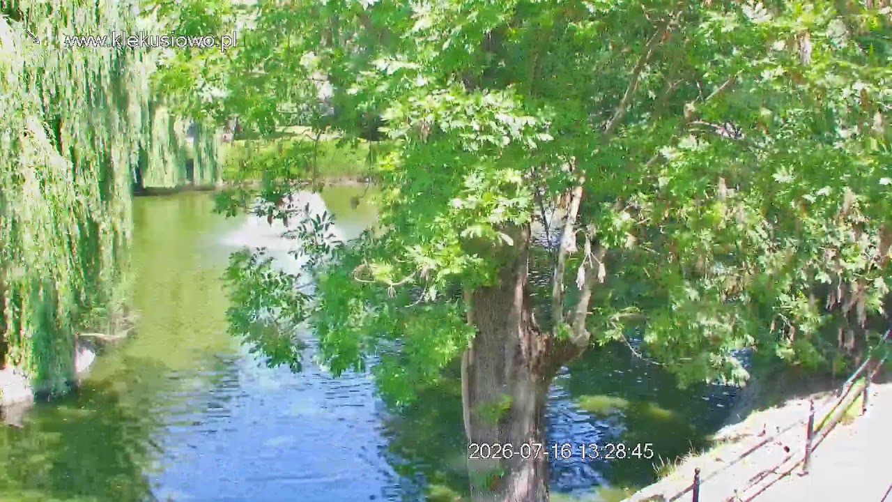 Live webcam view of Estanque del Sauce en Klekusiowo