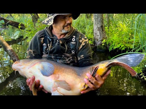 Wrześniowe Karpie z publicznej wody . Cz. Trzecia „Kamera podwodna”