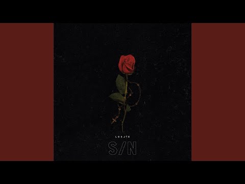 S / N #3