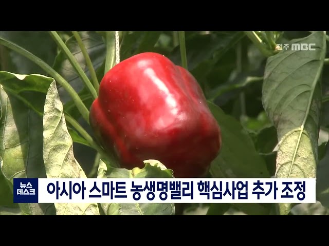 아시아 스마트 농생명밸리 핵심사업 조정 추진