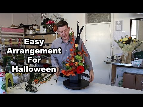 download lagu mp3 mp4 Halloween Roses Orange And Black, download lagu Halloween Roses Orange And Black gratis, unduh video klip Halloween Roses Orange And Black