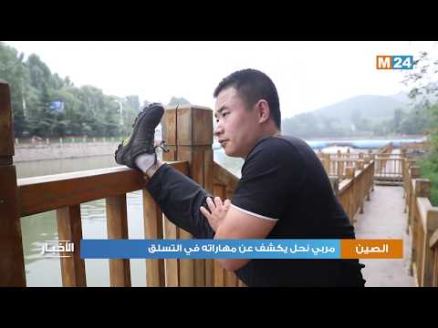 مربي نحل صيني يكشف عن مهاراته في التسلق