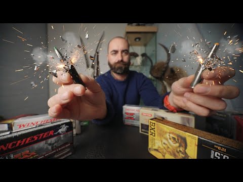 Quelle balle choisir pour le grand gibier ? Guide pro