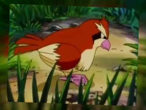 Rashid theme goes with Pokémon !!