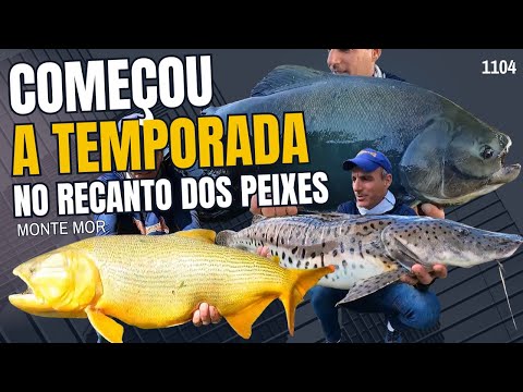 COMEÇO DA TEMPORADA EM SP - RECANTO DOS PEIXES DE Monte Mor - Fishingtur 1104