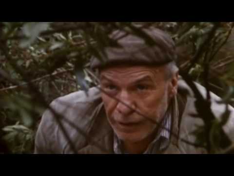 LOS SANTOS INOCENTES  de Mario Camus (Trailer)