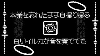 - 白いイルカが奏でても