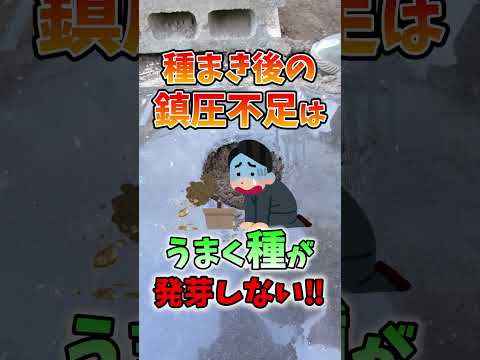 園芸 大豆の利点