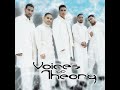 Voices Of Theory-Dimelo (Say It) (1998)