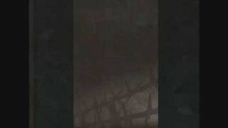Tarantula Scream - Iron Curtain (band)