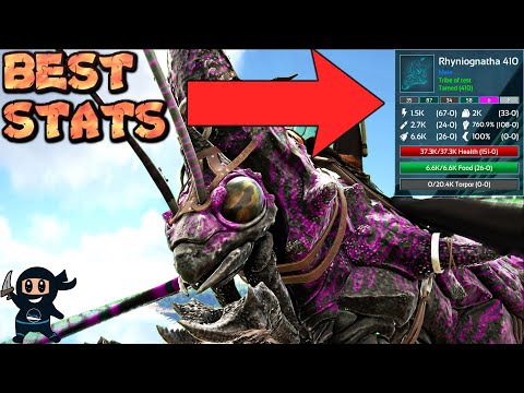 Ark: Best Stats Rhyniognatha guide