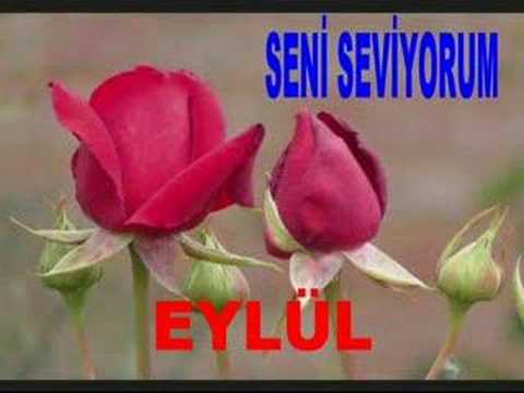 seni seviyorum eylül