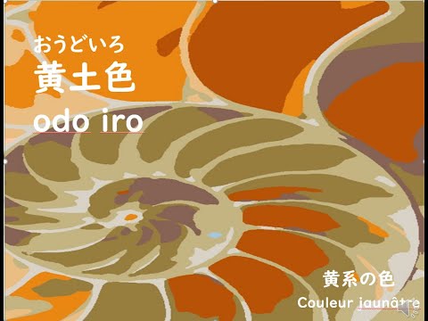 日本の色（黄系の色 122) : おうどいろ