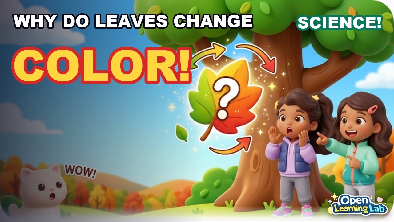 Why Do Leaves Change Color? | Science for Kids