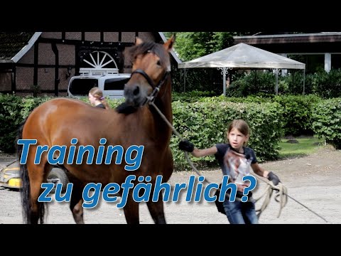 Panikpony Training mit 10-jähriger Besitzerin zu gefährlich? Oder kann sie sein Vertrauen gewinnen?