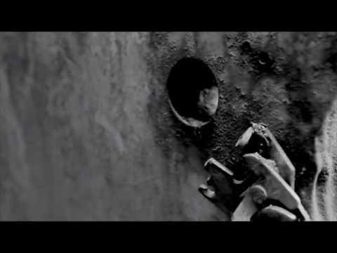 Blush Response   Body Artifex Aufnahme + Wiedergabe VII