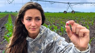 The Worst Farming Mistake Cost Me SO Much Money