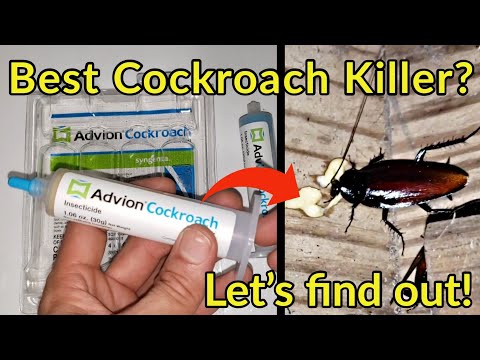 Does Advion Cockroach Gel Work? Let's see the proof! | Syngenta 383920 Gel Bait Roach Killer