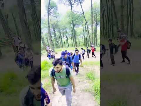 Leison officer training