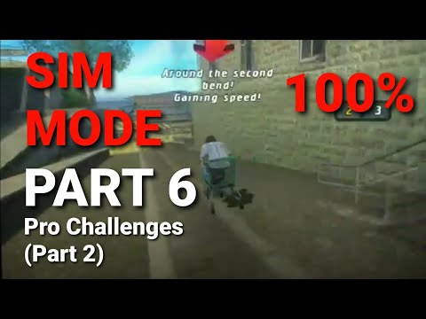 Tony Hawk's Pro Skater 4 - Sim Mode Run (Part 6): More Pro Challenges