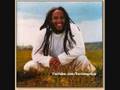 Ziggy Marley- Still the storm