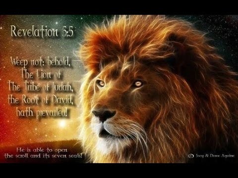The Lion of Judah - The Lion Warrior