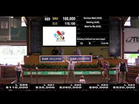 Lot 689 - Devious Maid (AUS) - 2017 National Broodmare Sale