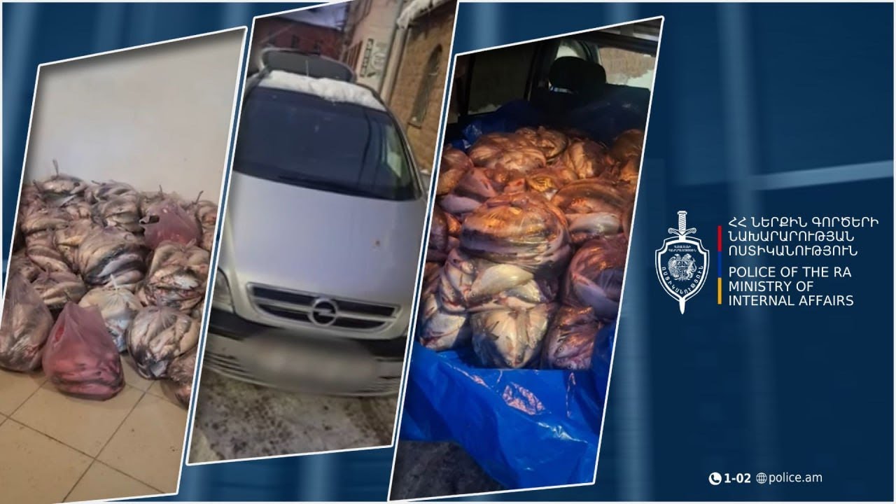 Պարեկները 66-ամյա տղամարդու մեքենայում 603 կգ սիգ են հայտնաբերել