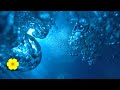 Underwater REAL Bubble Sounds Water Bubbles Underwater Sounds Ambience Relax White Noise 5 HOURS