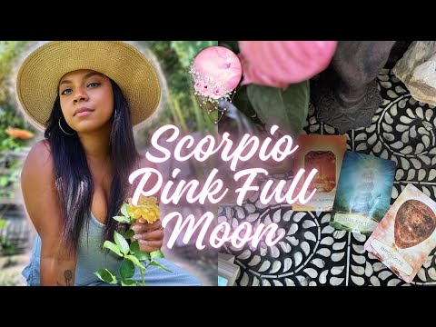 Scorpio Pink Full Moon 🌕🌸🍇🪻 Dancing Under the Pink Moon- April 23, 2024