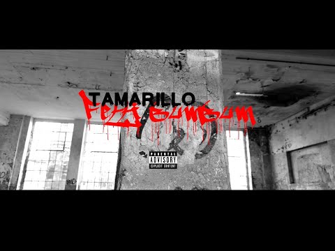 Tamarillo - Fetti Bum Bum (Zarbex Diss)