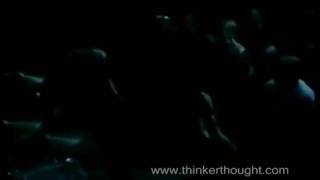 Planes Mistaken for Stars &quot;Division&quot; on 2-2-01