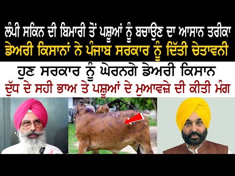 An easy way to protect animals from lumpy skin disease