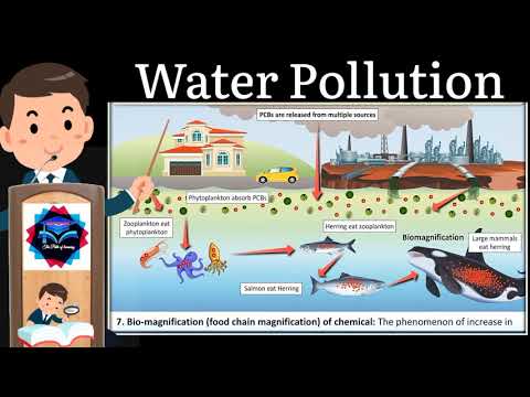 What is Water Pollution? Causes & Effects of Water Pollution, Preventive measures of Water Pollution