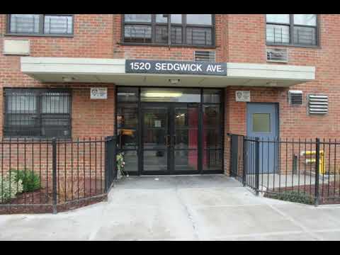 $han The Man - Freak Out