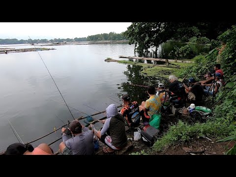 TRIP EPISODE 018- "Most EXPENSIVE TILAPIA in HISTORY" San Pablo City, Laguna