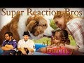 SRB Reacts to A Dog's Journey Official Trailer