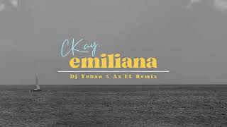 CKay -  emiliana (DJ Yohan & Ax'EL Remix) [Official Lyric Video]