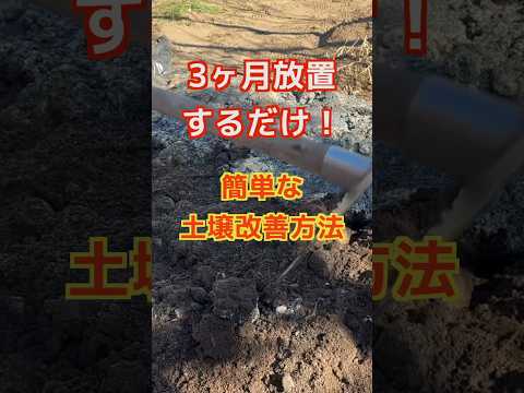 庭に堆肥をいつ、どのように追加するのですか?知っておくべきことはすべて！  庭園