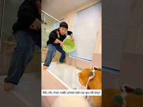 Mèo Hư Lén Ăn Kẹo Mút Khổng Lồ 🍭😹