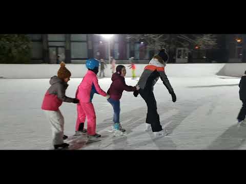 Patinoar Onesti