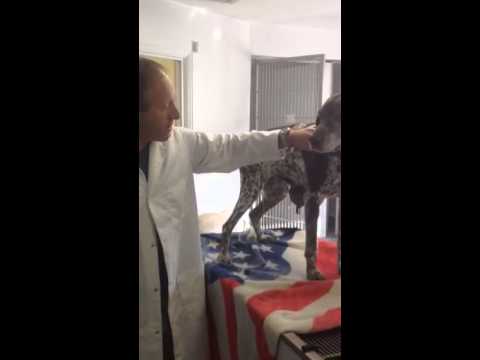 Dr. Matt Belman and Maggie