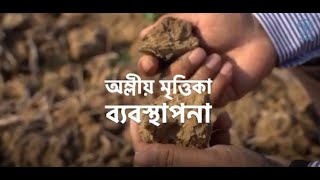 অম্লীয় মৃত্তিকা ব্যবস্থাপনা