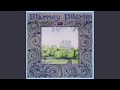 Down by the Sally Gardens (Irish Song)