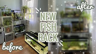 Building a NEW Fish Rack