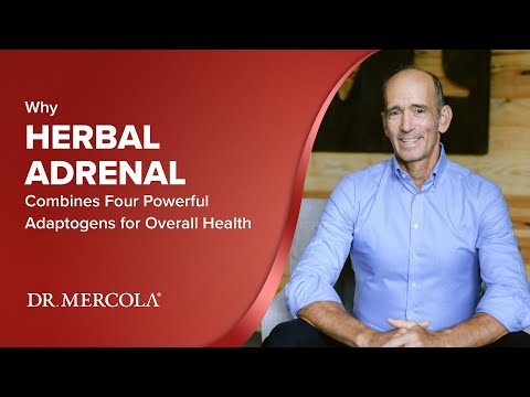 Why HERBAL ADRENAL Combines Four Powerful Adaptogens for Overall Health