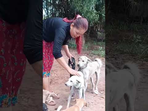 Beautiful female dog breeder