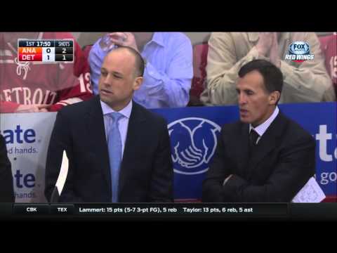 23/01/2016 Anaheim Ducks vs Detroit Red Wings